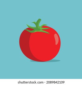 
Tomato on Turquoise Background Vector Pop Art Style Illustration. Fresh vegetable vector graphic element design on colorful background
