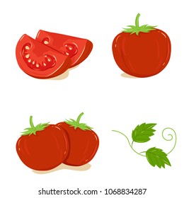 TOMATO ON WHITE BACKGROUND