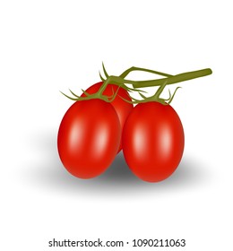 Tomato on white background. Ready to apply to your design. Vector illustration.