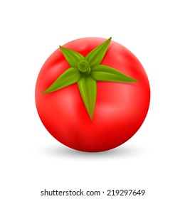 Tomato on white background. Vector illustration