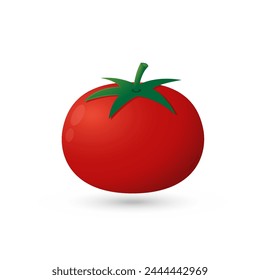 Tomato on white background. Vector illustration of fresh tomato.