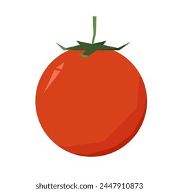 Tomato on white background. Vector illustration of fresh tomato.