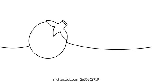 Tomato one line continuous drawing. Fresh organic vegetable. Vector illustration