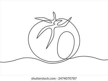 Tomato one line drawing art. Vector illustration isolated on white background.