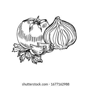 Tomato, onion, garlic and parsley in line art style.