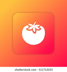 Tomato orange bright app ui/ux Icon / Logo design