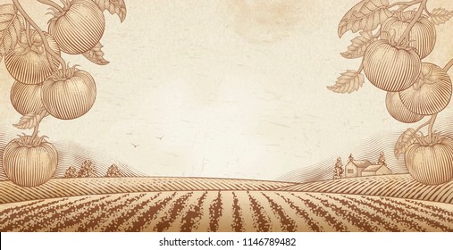 Tomato Orchard Background With Engraved Field Scenery, Copy Space For Design