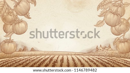 Tomato orchard background with engraved field scenery, copy space for design
