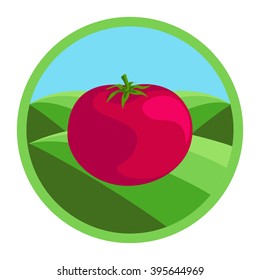  Tomato. Organic vegetables, round vector color badge or sticker