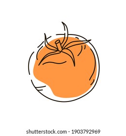 Tomato outline on a white background. Icon. Vector illustration.