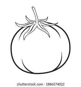 ilustración vectorial de contorno de tomate, aislado en fondo blanco, vista superior
