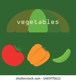 Tomato, pepper, cucumber. Fresh vegetables. Organic food poster. Farmer market design. Vector background