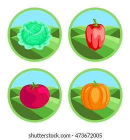 Tomato, pepper, pumpkin, cabbage. Organic vegetables, round vector color badges or tags