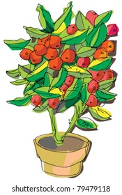 tomato plant