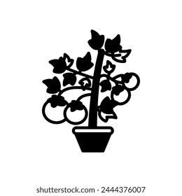 Icono de la planta de tomate en Vector. Logotipo