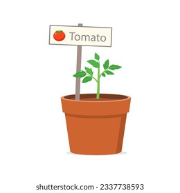 maceta de planta de tomate con buena calidad y buen diseño