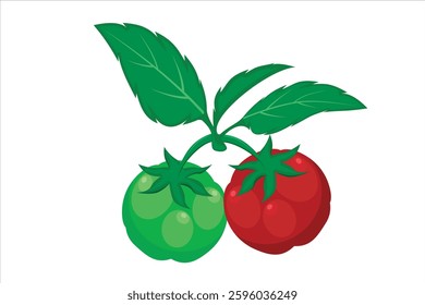 Tomato plant vector. Illustration of tomato vegetable with leaves and branches. Healthy food contains many vitamins for the body
