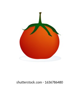 Tomato put on a white background.image vector.