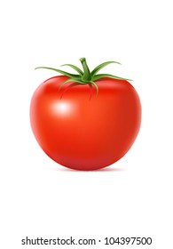 Tomato Realistic. Vector Illustration