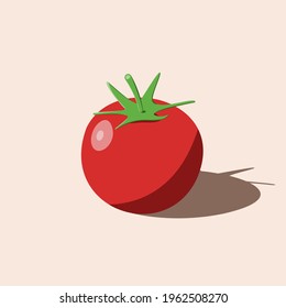 Tomato red color vector illustration