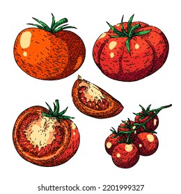tomato red set hand drawn vector. egetable food, ripe fresh, organic leaf, green raw, plant agriculture cut tomato red sketch. isolated color illustration