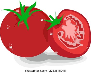 tomato red vector element fresh vegetable green