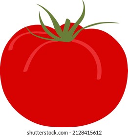 Tomato is a red vegetable for vegetarian food, flat cartoon vector illustration. A simple drawing of a product or packaging logo, vitamin C in food.