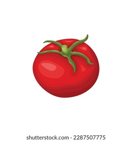 Tomato. Ripe red tomato. Fresh vegetable garden. Vegetarian product. Vector illustration isolated on a white background