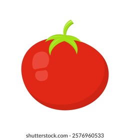 tomato. ripe red tomato. vegetable theme. vector illustration