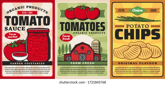 Tomato sauce ketchup and potato chips, farm food products vector retro vintage posters. Organic farming agriculture, garden vegetables and bio products from tomatoes and potatoes