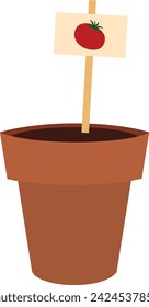 Tomato seeds planting in pot in white background. 