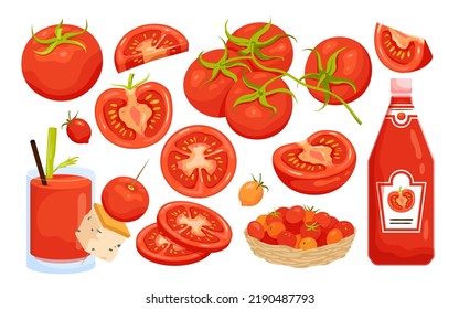 Tomatenset, Lebensmittelzutat, Vektorgrafik. Cartoon einzeln auf organischem Gemüse mit grünem Blatt, halbiert, Keile und Scheiben, Flasche roten Ketschup und Korbplatte mit Kirschtomaten