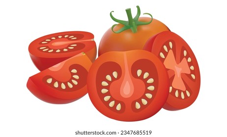 Tomato. Set of fresh tomatoes, whole and sliced. Isolated on a white background. realistic tomato, Vector illustration