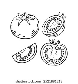 Tomate engastado. Ilustração de vetor desenhada à mão.