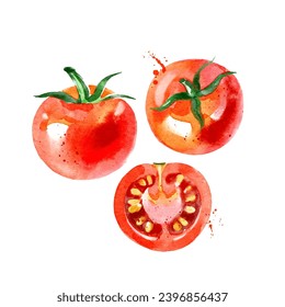 Tomatenset. Handgezeichnete Aquarellmalerei auf weißem Hintergrund. Vektorgrafik