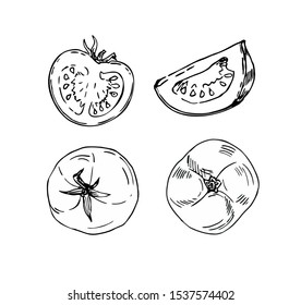 Tomato set in line art style.