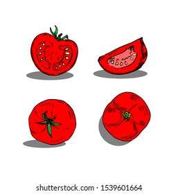 Tomato set in line art style.