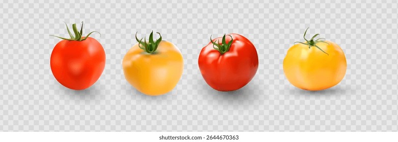 Tomato set. Red tomato collection. Photo-realistic vector tomatoes on transparent background.