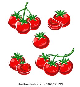 Tomato set. Vector