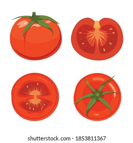 Tomato set. For views. Vector red tonato.