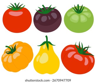 Conjunto de tomate. Tomates enteros en diferentes colores aislados sobre fondo blanco. Vector ilustración de dibujos animados. Vegetales rojos frescos, vegetarianos, veganos Comida orgánica saludable