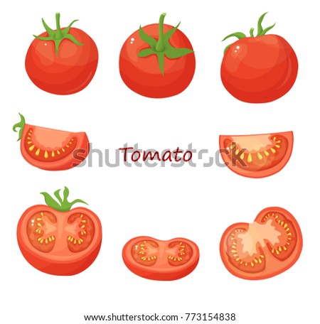 tomato simple vector
