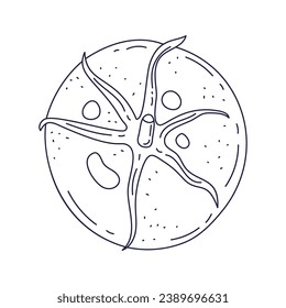 Tomato sketch. hand drawn Tomato outline illustration. Tomato black and white vector drawing. Tomato isolated on white background. vector illustration. Tomatoes line art drawing.