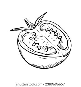 Esbozo de tomate. ilustración de esquema de tomate dibujado a mano. Dibujo vectorial en blanco y negro de tomate. Tomate aislado de fondo blanco. ilustración vectorial. Dibujo artístico en línea de tomates.