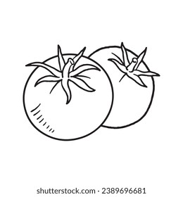 Tomato sketch. hand drawn Tomato outline illustration. Tomato black and white vector drawing. Tomato isolated on white background. vector illustration. Tomatoes line art drawing.