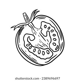 Tomato sketch. hand drawn Tomato outline illustration. Tomato black and white vector drawing. Tomato isolated on white background. vector illustration. Tomatoes line art drawing.