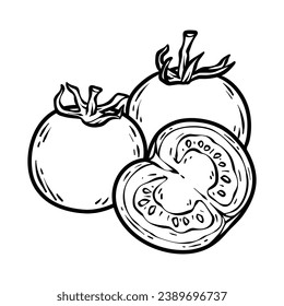 Tomato sketch. hand drawn Tomato outline illustration. Tomato black and white vector drawing. Tomato isolated on white background. vector illustration. Tomatoes line art drawing.