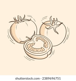 Tomato sketch. hand drawn Tomato outline illustration. Tomato black and white vector drawing. Tomato isolated on white background. vector illustration. Tomatoes line art drawing.