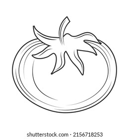 tomato sketch style icon flat