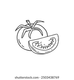 tomato in sketch style on a white background. Black and white illustration. Food Vector illustration
